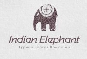 indian elephant2